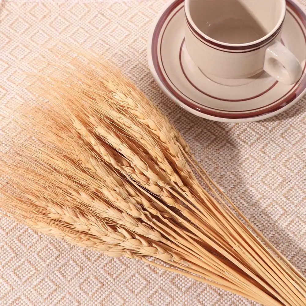 50 Pezzi di Steli di Grano Ess - Wedding Ceremony Supply recensione e prezzo
