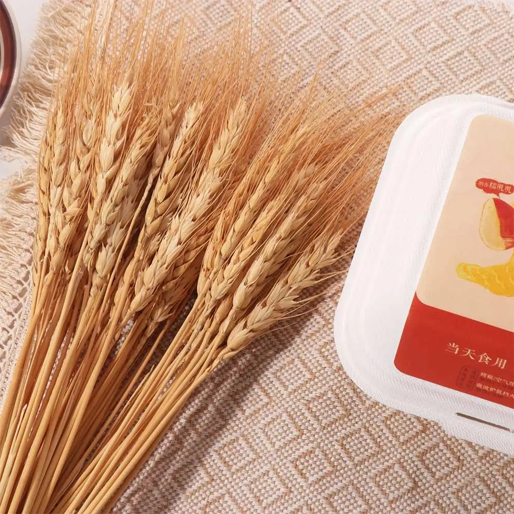50 Pezzi di Steli di Grano Ess - Wedding Ceremony Supply recensione e prezzo