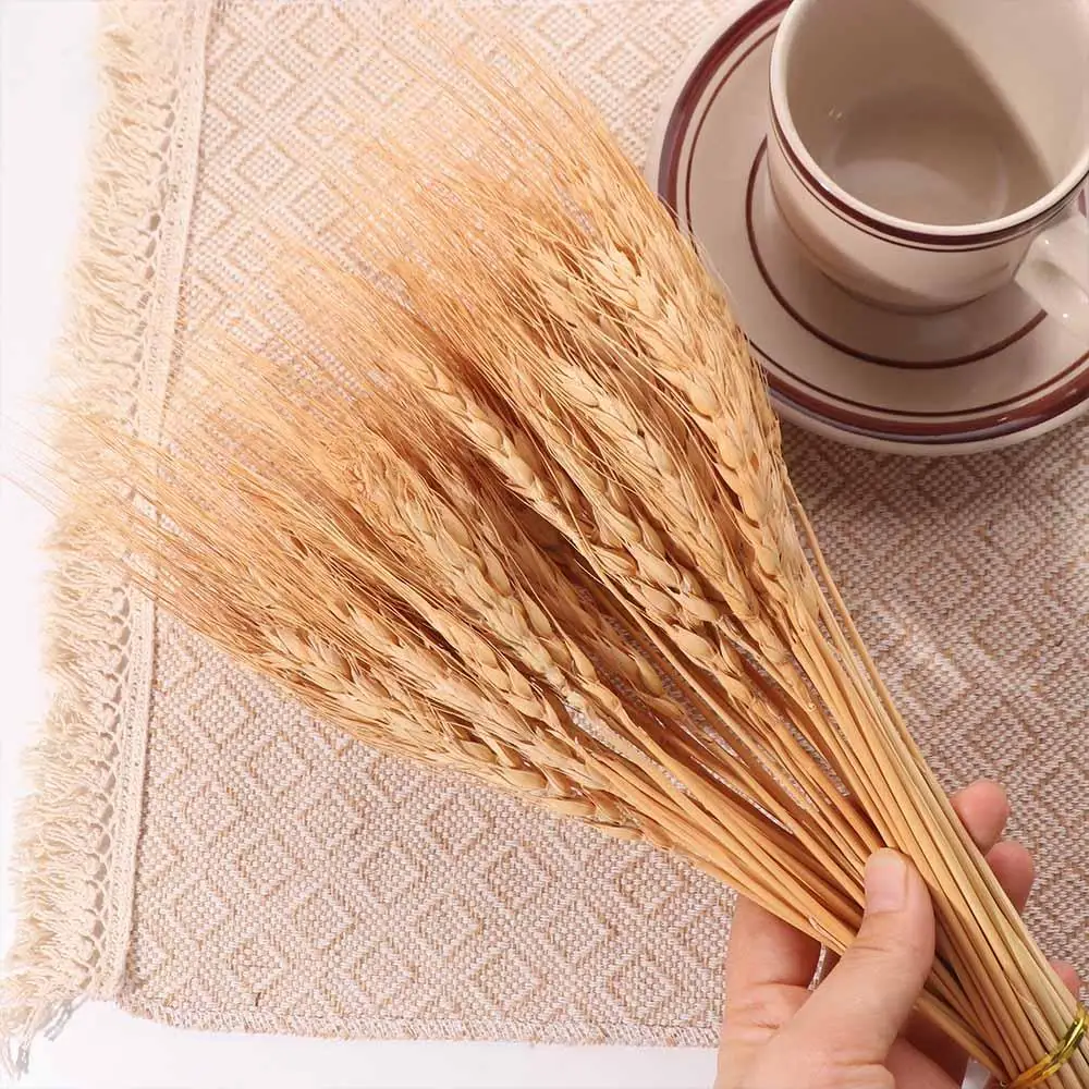 50 Pezzi di Steli di Grano Ess - Wedding Ceremony Supply recensione e prezzo